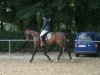 jumper Leonarda (German Sport Horse, 1997)