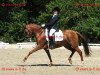 dressage horse Lonesome Glory K (German Riding Pony, 1999, from Oreon)