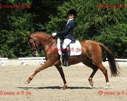 dressage horse Lonesome Glory K (German Riding Pony, 1999, from Oreon)