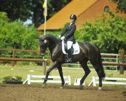 jumper Zamira von Berxen (Hanoverian, 2003, from Zacharias)