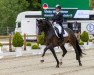 stallion Annenhof's Quandador B (German Sport Horse, 2009, from Quaterback)