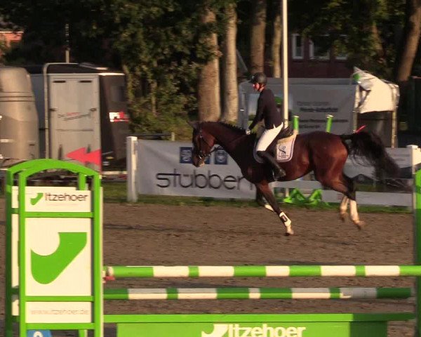 Reitturnier Mildstedt 2022