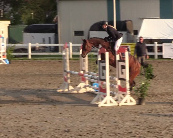 Reitturnier Mildstedt 2022