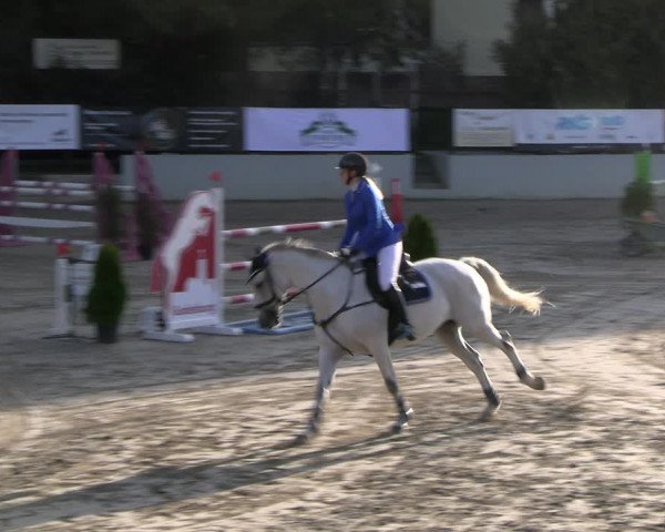 Reitturnier Wachtberg-Adendorf 2022