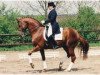stallion Van Deyk (Trakehner, 1984, from Patricius xx)