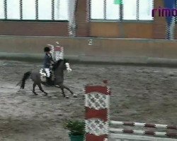 jumper Spaghetti (German Riding Pony, 1996, from Nantano)