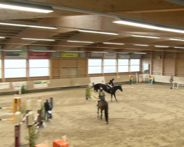 Reitturnier Winterthur 2022