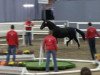 dressage horse Florentyn (Hanoverian, 2009, from Fidertanz)