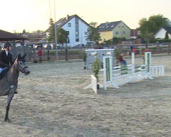 Reitturnier Poxdorf/Ofr 2022