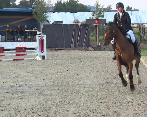 Reitturnier Poxdorf/Ofr 2022