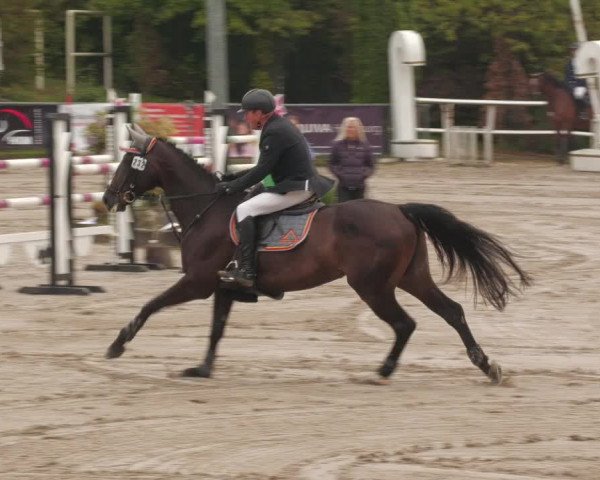Reitturnier Neunkirchen-City 2022