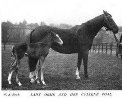 broodmare Lady Orme xx (Thoroughbred, 1897, from Orme xx)