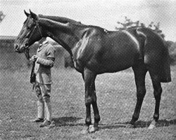 stallion Joyful xx (Thoroughbred, 1890, from Galopin xx)