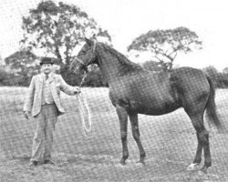 broodmare Invincible xx (Thoroughbred, 1877, from Galopin xx)