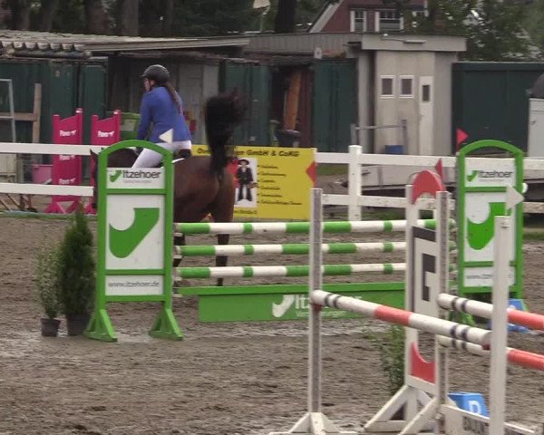 Reitturnier Mildstedt 2022