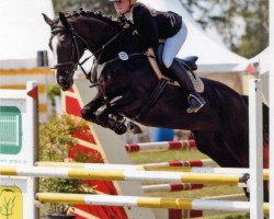 jumper Elcyra (Hanoverian, 2005, from El Bundy)