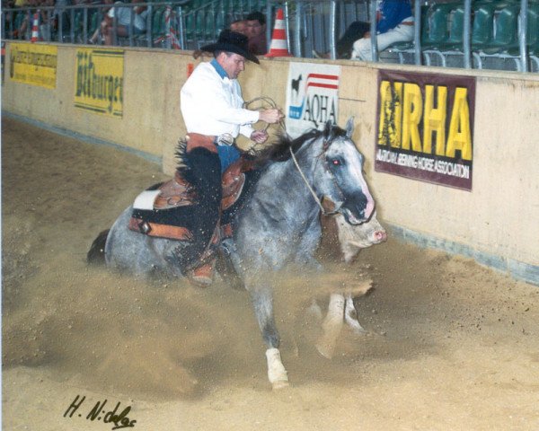 stallion Col Awesome Socks (Quarter Horse, 1991, from Tivio Jessie James)