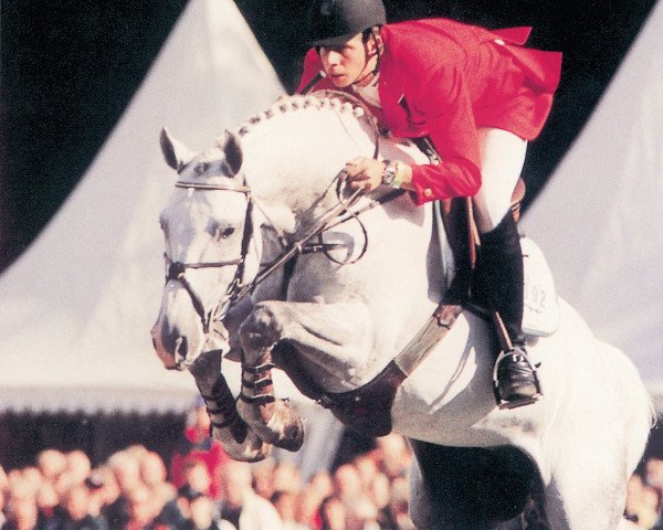 stallion Colbert GTI (Holsteiner, 1994, from Cantus)