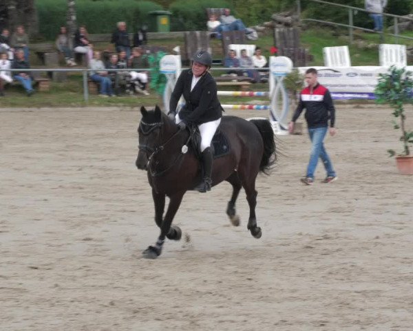 Reitturnier Neunkirchen-City 2022