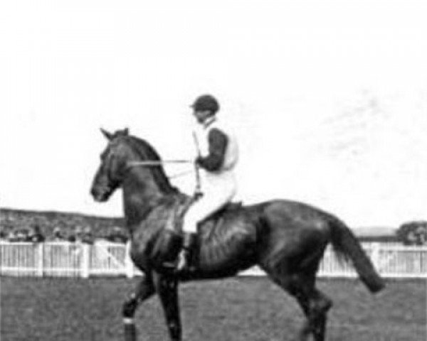 stallion Mimic xx (Thoroughbred, 1893, from Galopin xx)