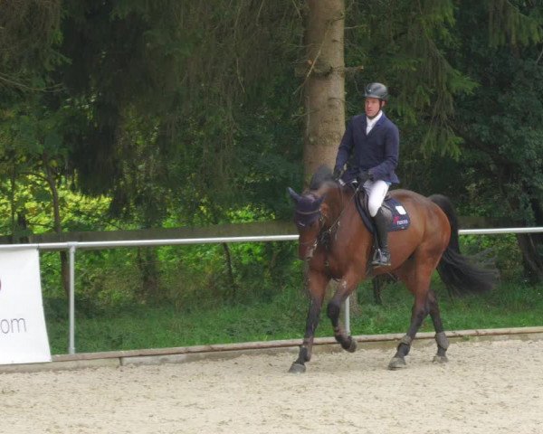 Reitturnier Karlsfeld/Obb. 2022