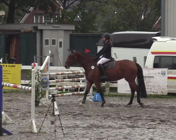 Reitturnier Mildstedt 2022