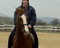 broodmare Funny Girl (Oldenburg, 1988, from Freisturm)