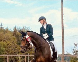 dressage horse Fürst Lio (German Sport Horse, 2019, from Fürstenstern 3)