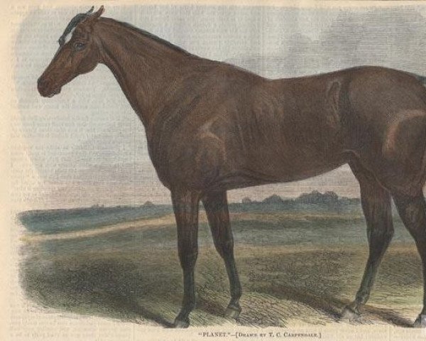 stallion Planet xx (Thoroughbred, 1844, from Bay Middleton xx)