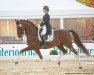 dressage horse Deep Fritz (KWPN (Royal Dutch Sporthorse), 2008, from Santano)