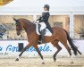 dressage horse Donna Wetter 3 (Hanoverian, 2009, from Dancier)