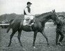 stallion Mon Talisman xx (Thoroughbred, 1924, from Craig an Eran xx)