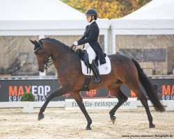 dressage horse Rock Lady RVL (Rhinelander, 2011, from Rock Forever NRW)