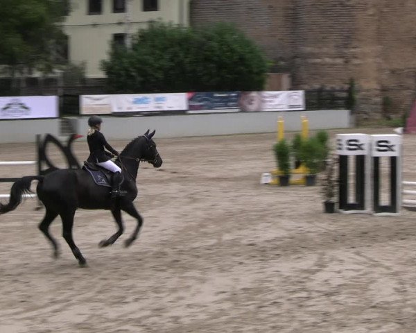 Reitturnier Wachtberg-Adendorf 2022