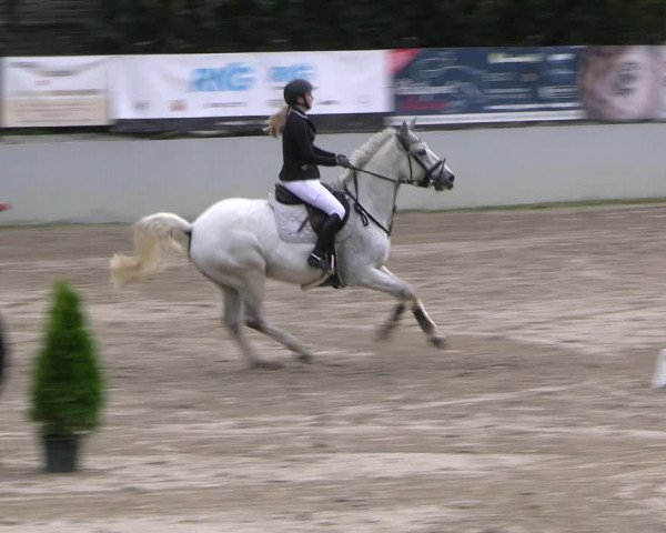 Reitturnier Wachtberg-Adendorf 2022