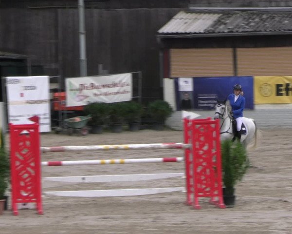 Reitturnier Wachtberg-Adendorf 2022