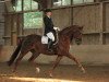 broodmare Rubinera 4 (Hanoverian, 2004, from Rubin Royal OLD)