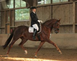 dressage horse Rubinera 4 (Hannoveraner, 2004, from Rubin Royal OLD)