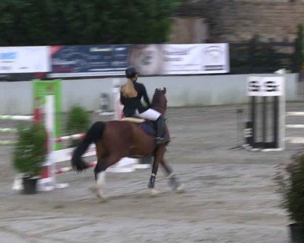 Reitturnier Wachtberg-Adendorf 2022
