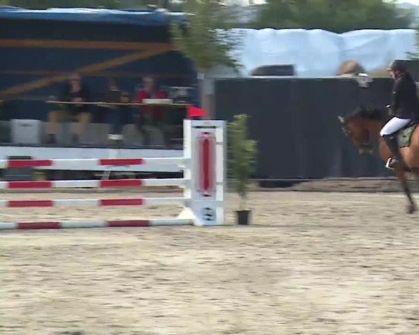 Reitturnier Poxdorf/Ofr 2022
