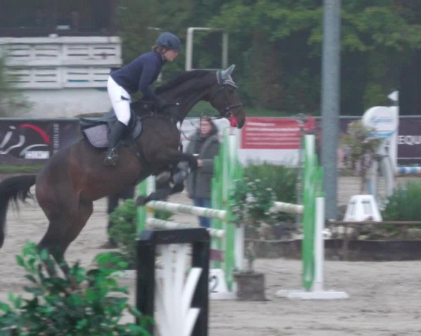 Reitturnier Neunkirchen-City 2022