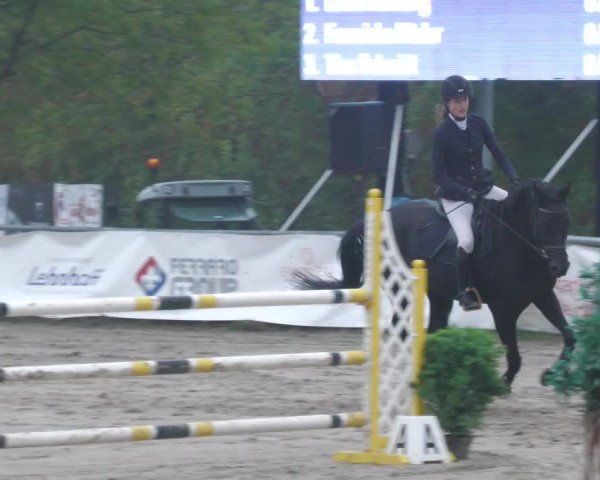 Reitturnier Neunkirchen-City 2022