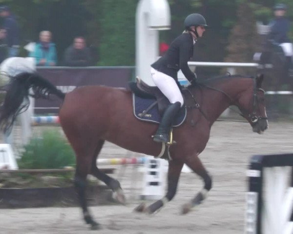 Reitturnier Neunkirchen-City 2022