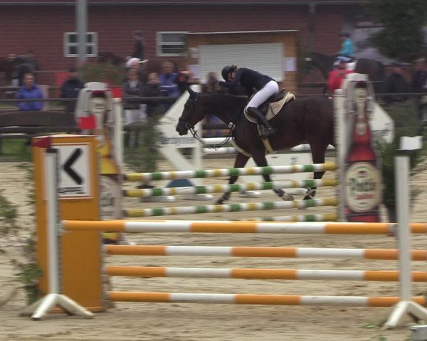 Reitturnier Albersloh 2022
