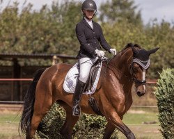 dressage horse Welta (Hanoverian, 2006, from Weltbogen)