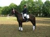 dressage horse Fiorillo (Württemberger, 1997, from Fleiner)