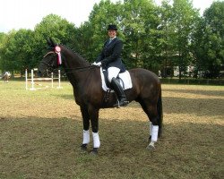 dressage horse Fiorillo (Württemberger, 1997, from Fleiner)