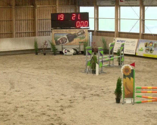 Reitturnier Winterthur 2022