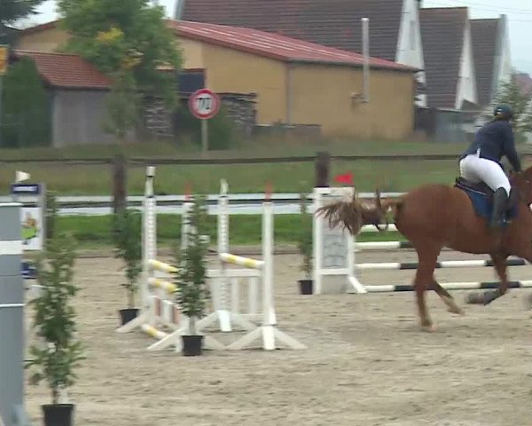 Reitturnier Poxdorf/Ofr 2022