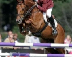 jumper Wings (KWPN (Royal Dutch Sporthorse), 1998, from Lexicon)